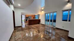 Branksome Road (D15), Detached #597764881
